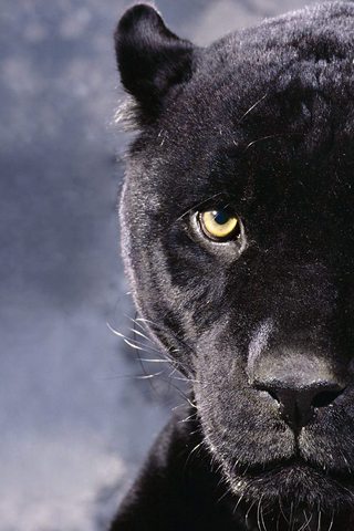 Simpsons Halloween 3D