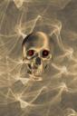 Give Me Some Skull - free iPhone background