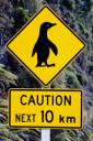 Penguin Crossing Sign - free iPhone background